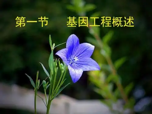 基因工程概述