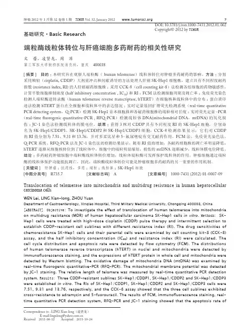 端粒酶线粒体转位与肝癌细胞多药耐药的相关性研究