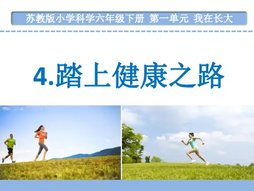 苏教版小学科学六年级下册
