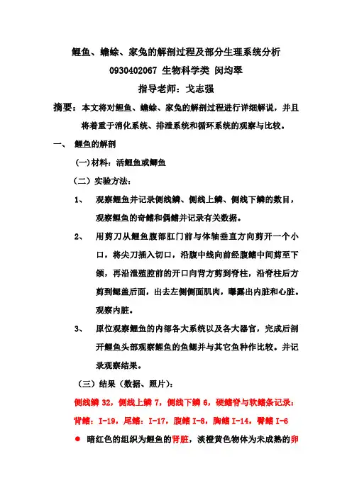鲤鱼、蟾蜍、家兔的解剖过程及生理系统分析