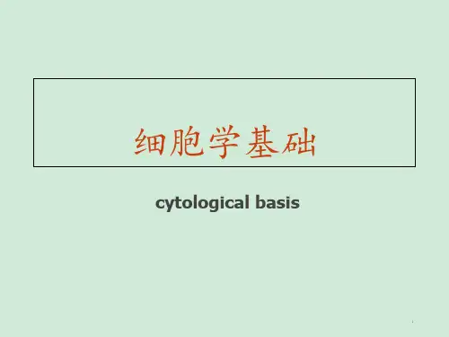 细胞学基础  ppt课件