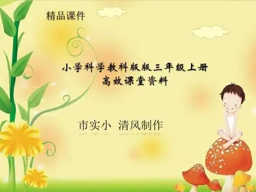 小学科学教科版三年级上册高效课堂资料《植物发生了什么变化》第2课时——课件