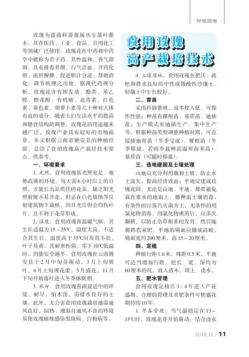 食用玫瑰高产栽培技术
