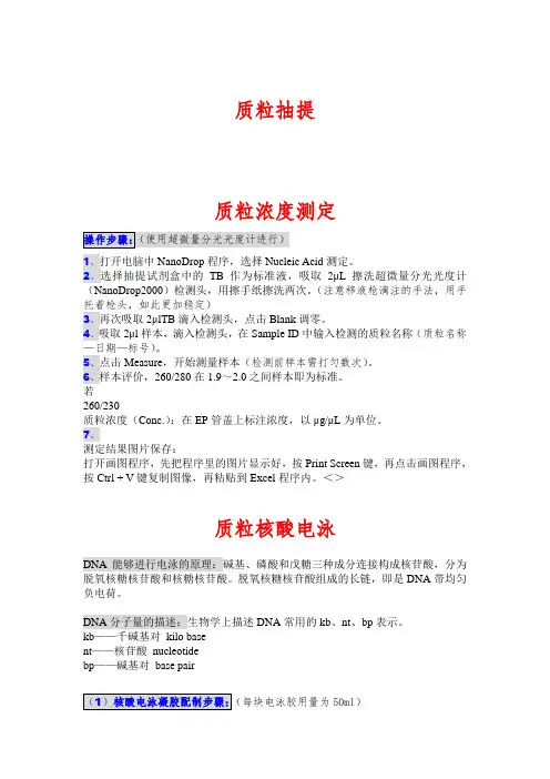 质粒抽提及鉴定