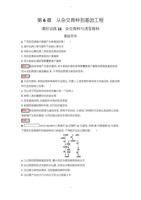 2020届人教版高中生物必修二 练习-第6章 从杂交育种到基因工程 6.1含答案