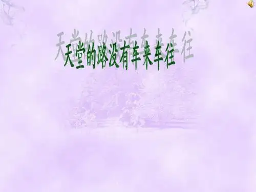 小悦悦