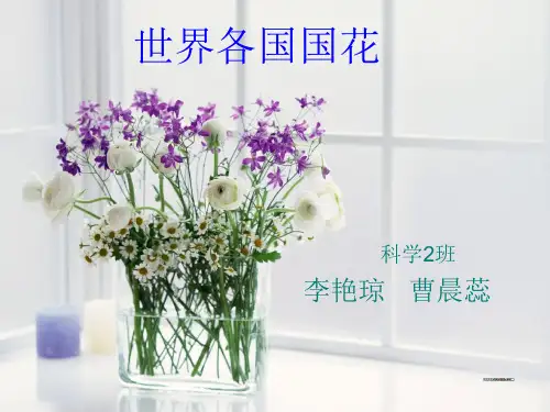 世界各国国花.ppt