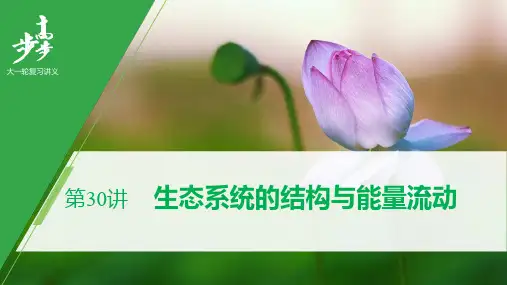 第九单元 第30讲  【高三一轮复习系列2021版步步高生物《大一轮复习讲义》】(002)