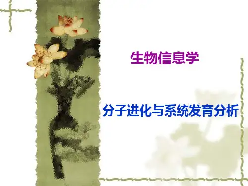 分子进化与系统发育分析