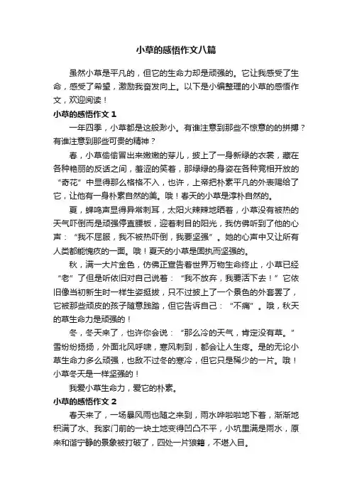 小草的感悟作文八篇