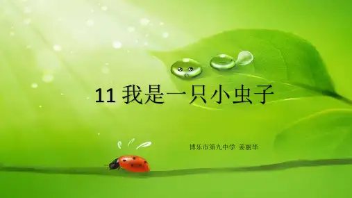部编版二年级语文(下)PPT《我是一只小虫子》完美课件