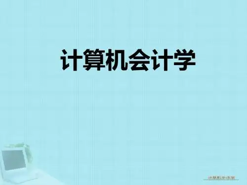 【精品模板】计算机会计学PPT模板