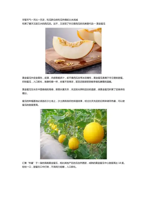 ATAGO(爱拓)蜜瓜糖度计