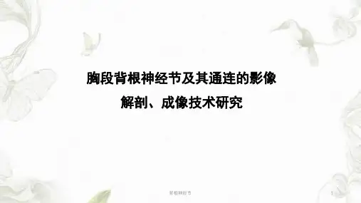 背根神经节ppt课件