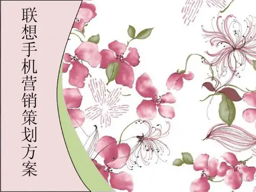 联想 策划方案
