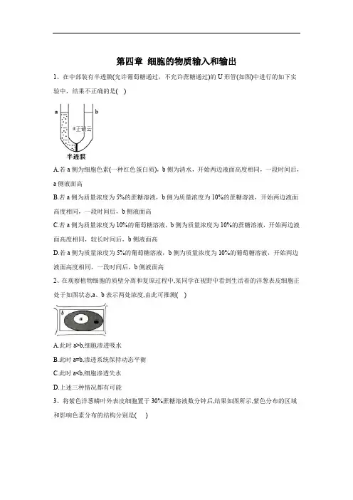 2019-2020学年高中生物人教版(2019)必修一单元检测：第四章 细胞的物质输入和输出 Word版含答案