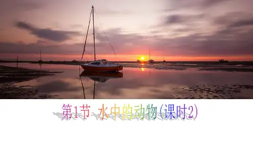 苏科版生物七年级下册第10章  第1节 水中的动物 水生动物 课件
