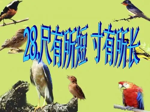 尺有所短寸有所长