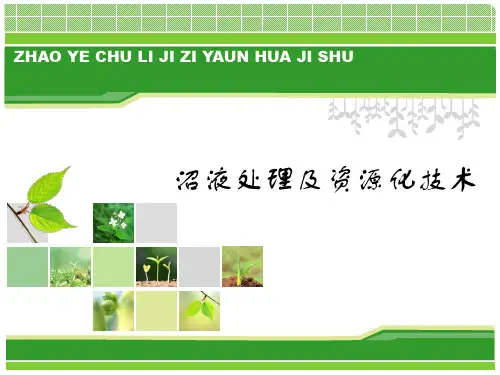 沼液处理及资源化技术.