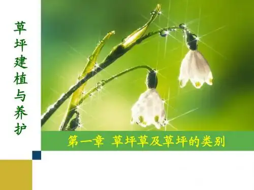 草坪建植与养护-第一章