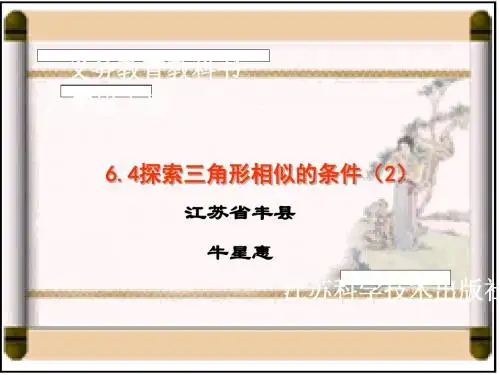 九下数学6.4探索三角形相似的条件2(新版苏科版)全面版