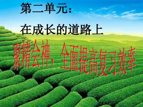 第二单元:在成长的道路上