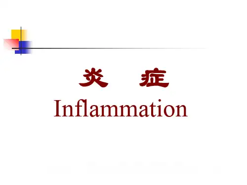 第四章 炎症 96页