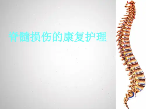 脊髓损伤PPT课件