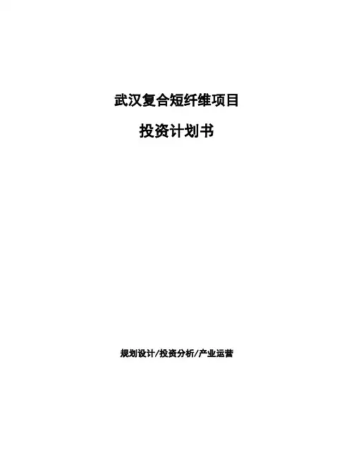 武汉复合短纤维项目投资计划书