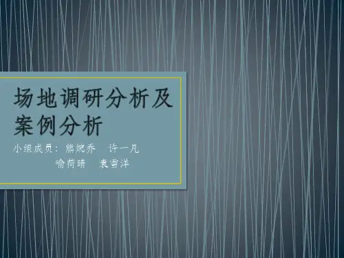 场地调研分析及案例分析