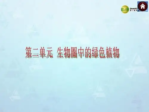 2014中考生物复习方案 生物圈中有哪些绿色植物(考点聚焦+专项突破,含2013试题)课件 新人教版