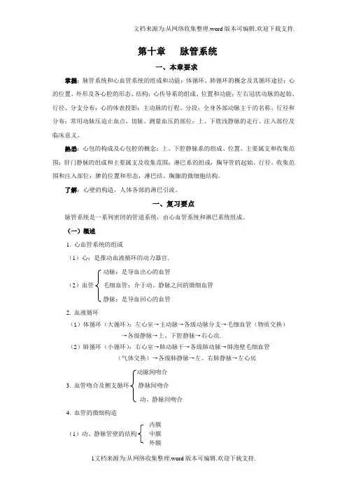 系统解剖——脉管系统