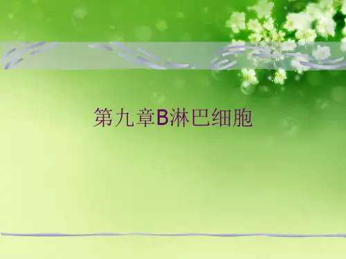 第九章B淋巴细胞优秀课件