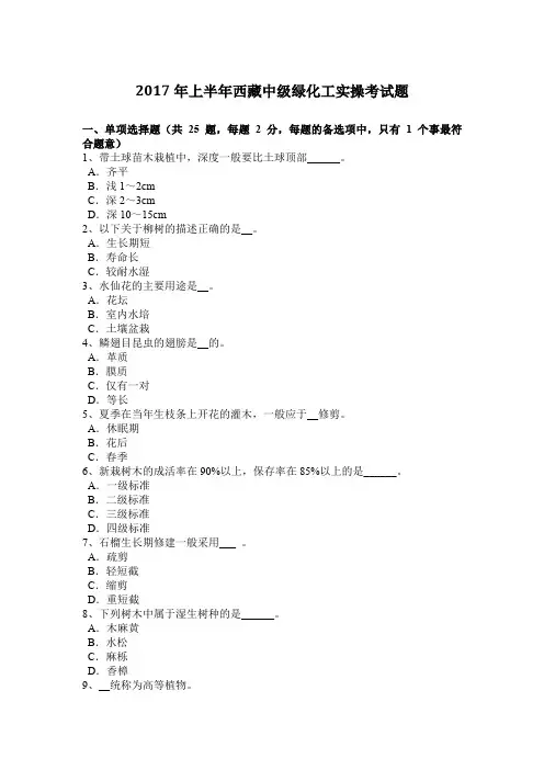 2017年上半年西藏中级绿化工实操考试题