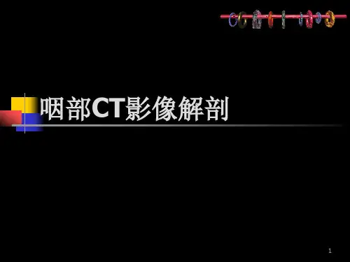 鼻咽部的CT解剖ppt课件