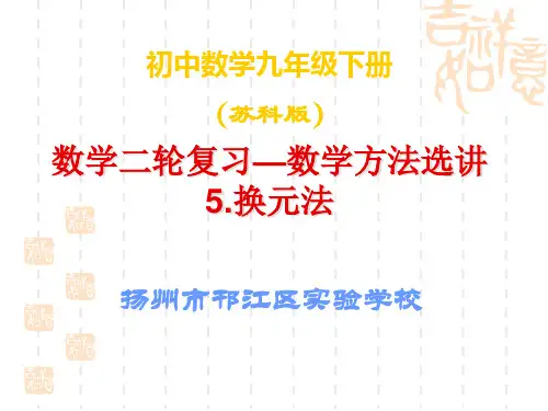 初中数学 换元法
