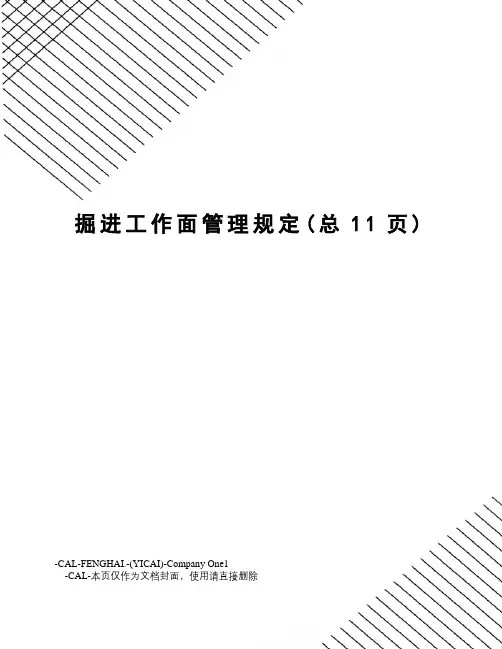 掘进工作面管理规定