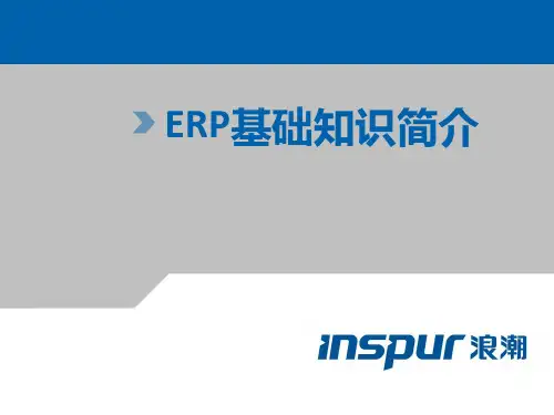 ERP理论基础知识