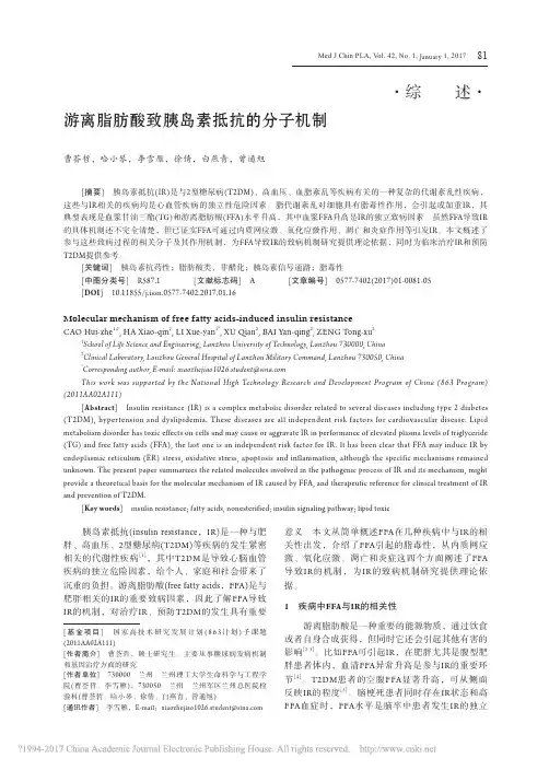 游离脂肪酸致胰岛素抵抗的分子机制_曹荟哲