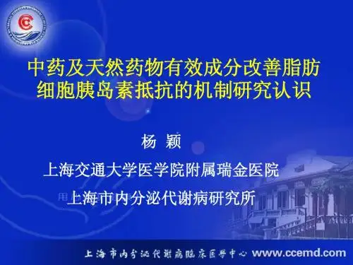 2009研究生讲稿