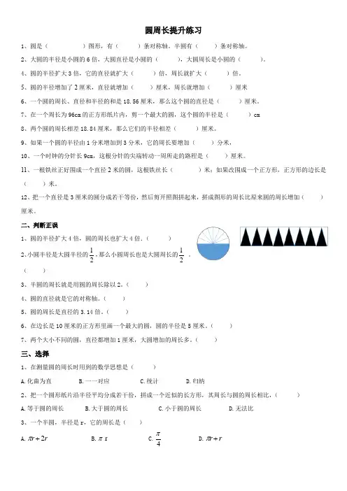 圆周长提升练习