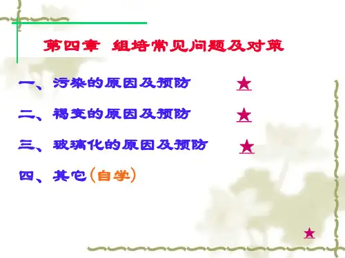 组培常见问题