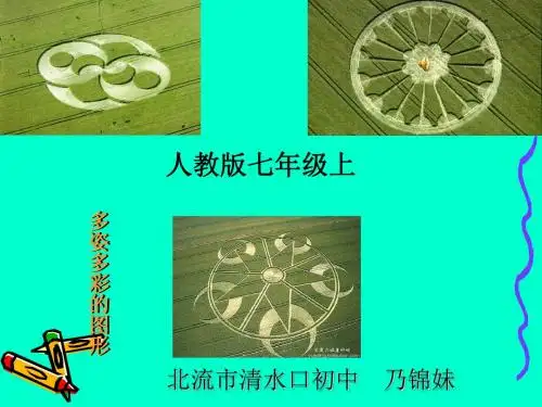 4.1.1多姿多彩的图形
