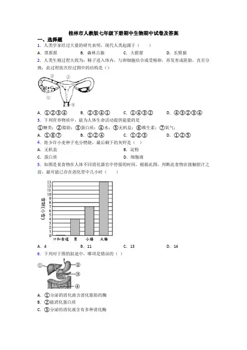 桂林市人教版七年级下册期中生物期中试卷及答案