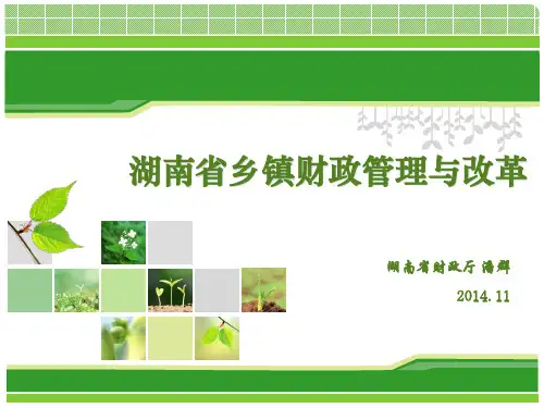 湖南省乡镇财政管理与改革
