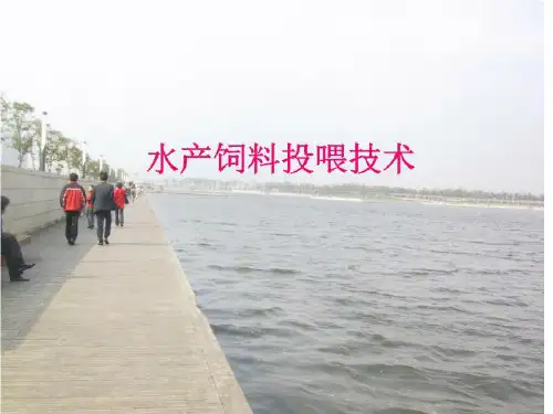 水产饲料投喂技术45页PPT