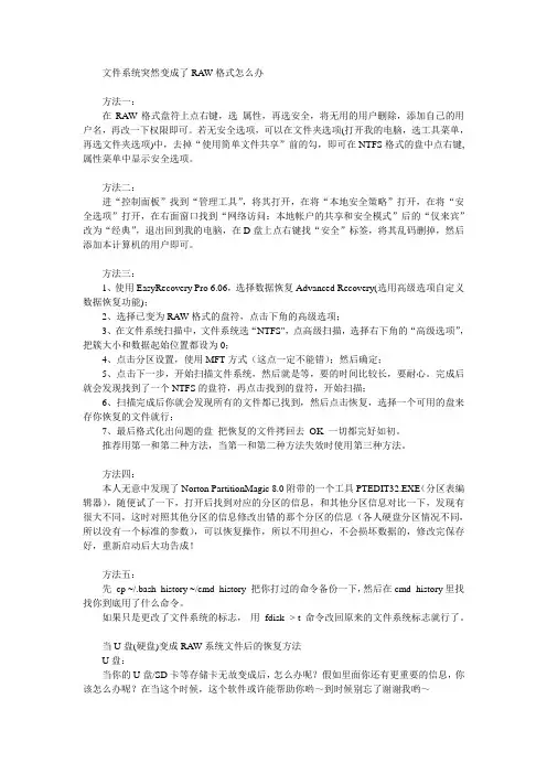 文件系统突然变成了RAW格式怎么办