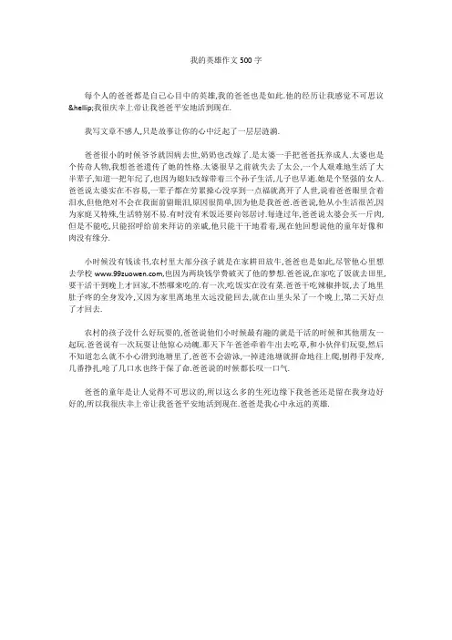 我的英雄作文500字