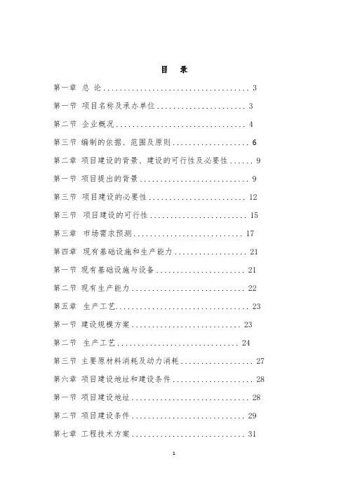 项目建设可行性报告