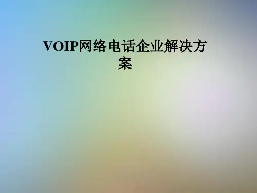 VOIP网络电话企业解决方案